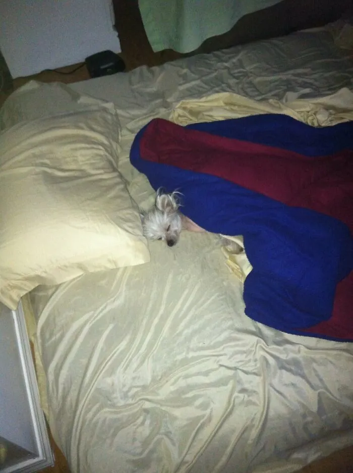 Only Use Your Bed For Sleeping
