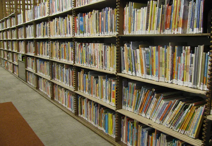 Bibliotecarios