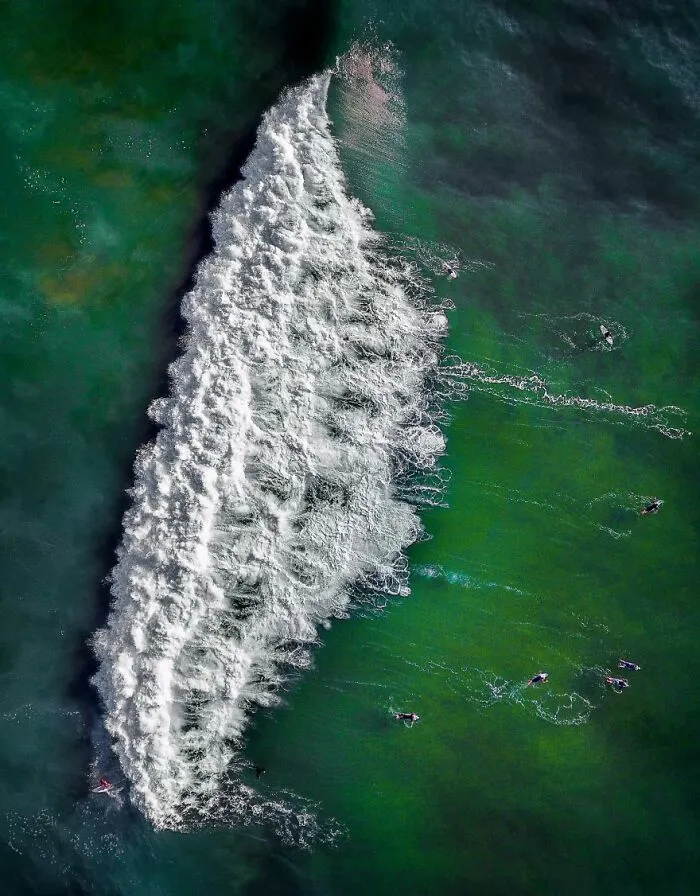 The Wave