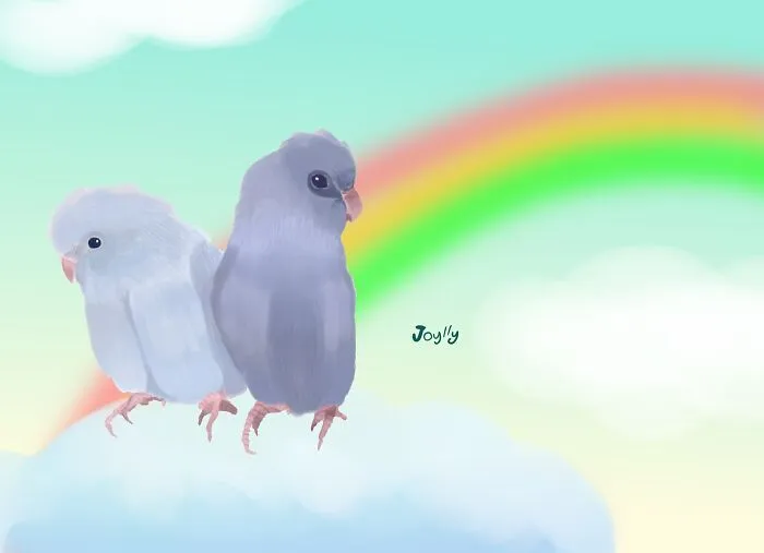 Pacific Parrotlet