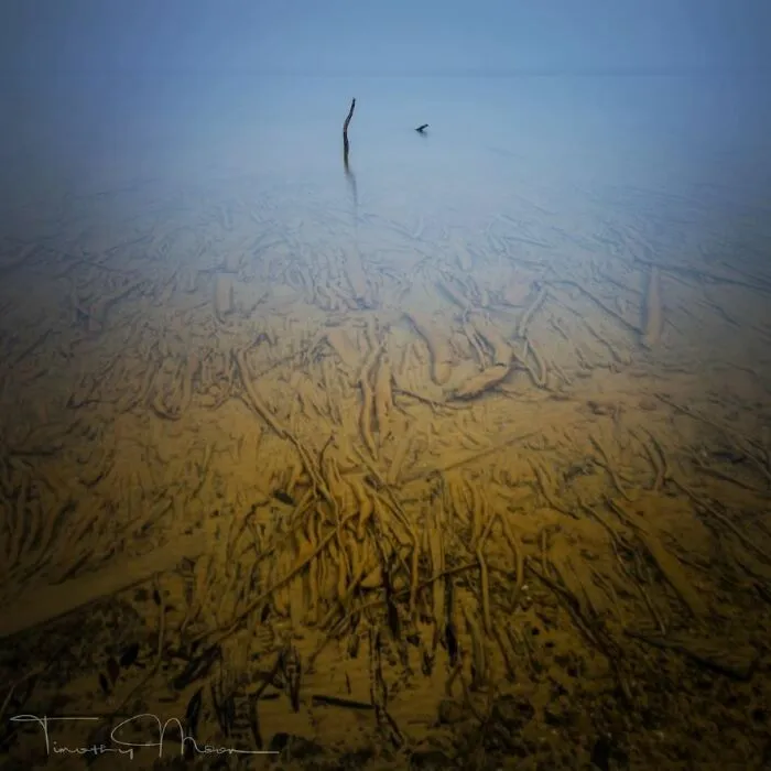 What Lies Beneath