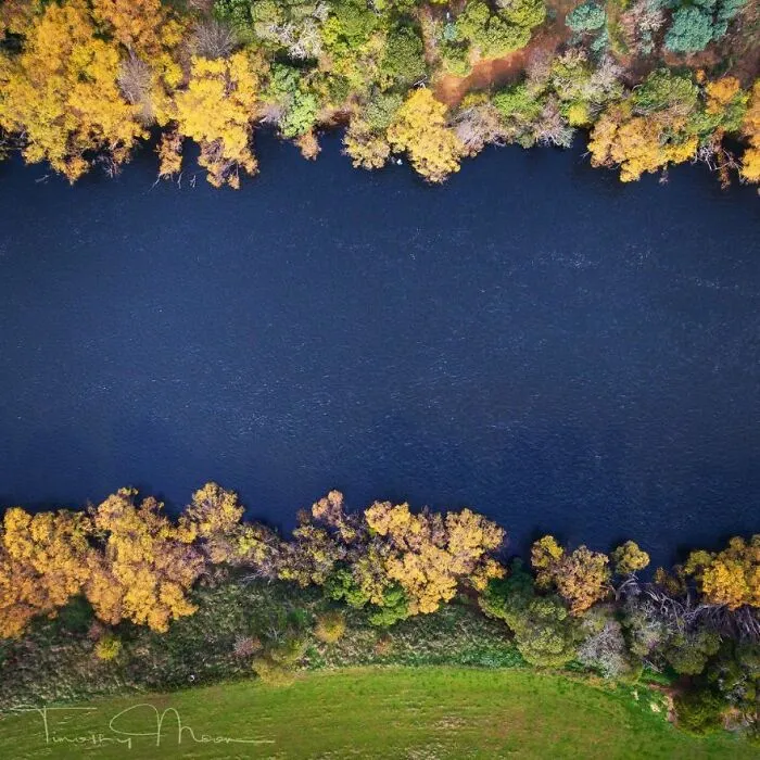 Derwent River Borders