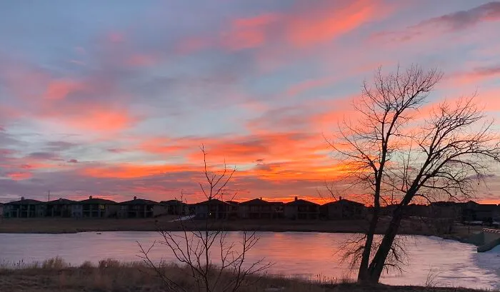 The Morning View From Our Living Room.
