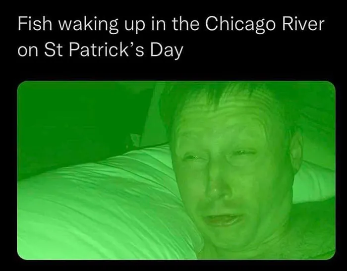 The World Is Celebrating St. Patrick’s Day With Memes And Jokes, So Here Are 30 Of The Most Spot-On Ones