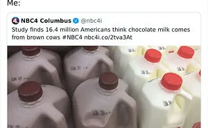 Here Are 50 Of The Dumbest Things Ever Said On The Internet