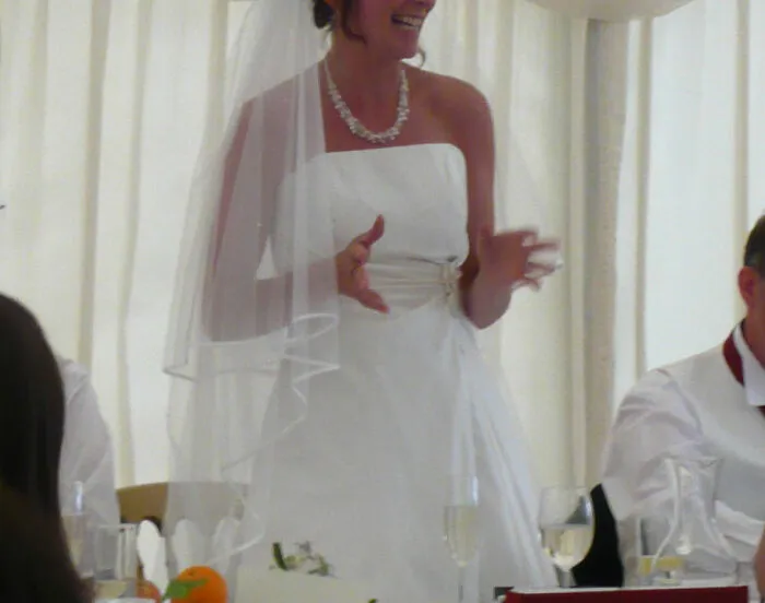 30 People Who Did Not Have A Good Time At A Wedding Because Of A Horrible Speech