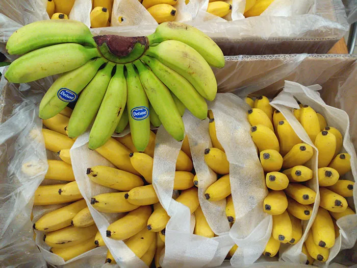 Bananas