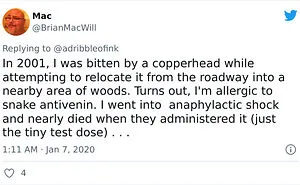 40 Unexpected Real-Life Plot Twists That Might Surprise You More Than You Expected