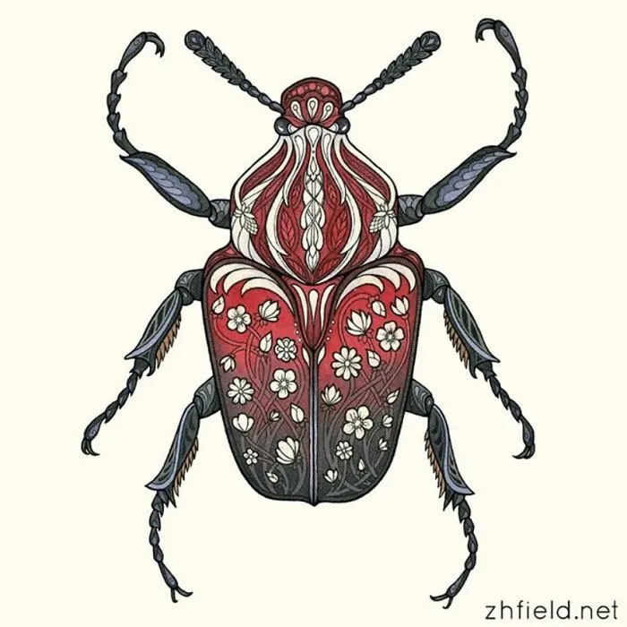 Imaginary Beetle