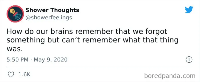 50 Shower Thoughts That Make A Lot Of Sense, As Shared On This Online Page