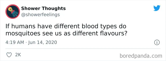50 Shower Thoughts That Make A Lot Of Sense, As Shared On This Online Page