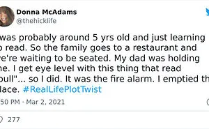 40 Unexpected Real-Life Plot Twists That Might Surprise You More Than You Expected