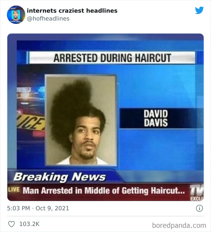 This Twitter Account Posts The Funniest Headlines Spotted Online (50 Pics)
