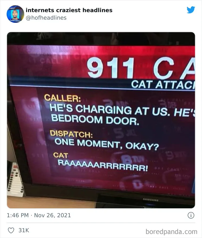 This Twitter Account Posts The Funniest Headlines Spotted Online (50 Pics)