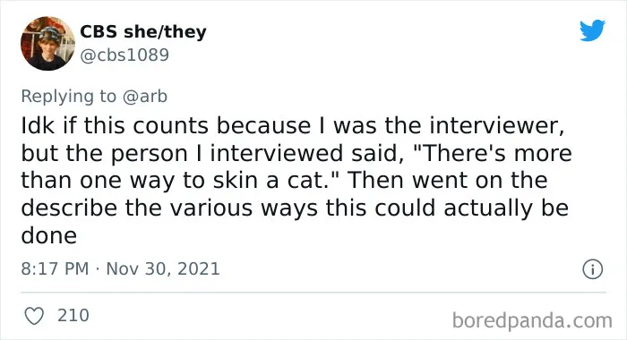 Woman Asks People To Share Their Worst Job Interviews, Gets These 30 Trainwrecks