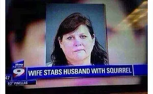 This Twitter Account Posts The Funniest Headlines Spotted Online (50 Pics)