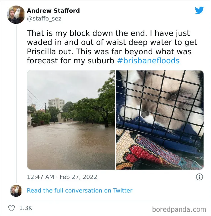 30 Pics Of Catastrophic Australian Floods That Are Happening Now As 2022 Competes For The Worst Year Award