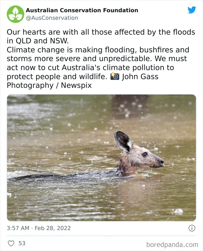 30 Pics Of Catastrophic Australian Floods That Are Happening Now As 2022 Competes For The Worst Year Award