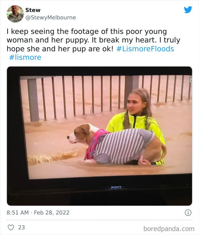 30 Pics Of Catastrophic Australian Floods That Are Happening Now As 2022 Competes For The Worst Year Award