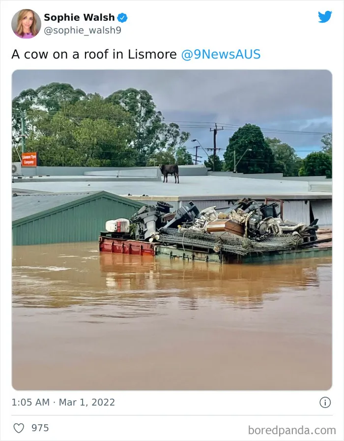 30 Pics Of Catastrophic Australian Floods That Are Happening Now As 2022 Competes For The Worst Year Award