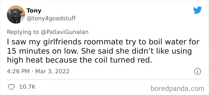 35 Funny, Ridiculous, And Seriously Stupid Things People Witnessed Their Friends Doing, As Shared In This Viral Thread