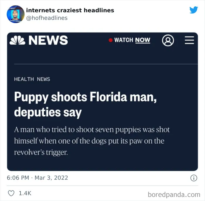 This Twitter Account Posts The Funniest Headlines Spotted Online (50 Pics)