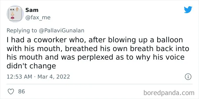 35 Funny, Ridiculous, And Seriously Stupid Things People Witnessed Their Friends Doing, As Shared In This Viral Thread