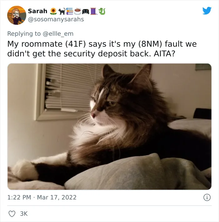 35 AITA Posts That Are Funny Because They Are Written From A Cat’s Perspective, Shared In This Twitter Thread