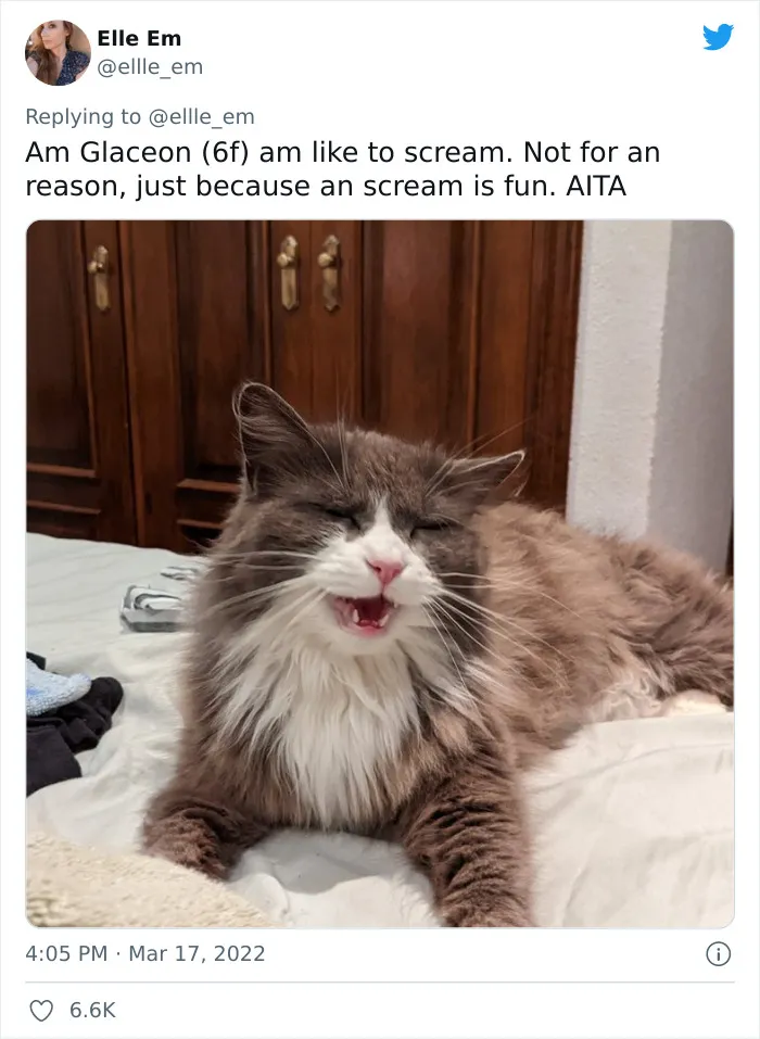 35 AITA Posts That Are Funny Because They Are Written From A Cat’s Perspective, Shared In This Twitter Thread