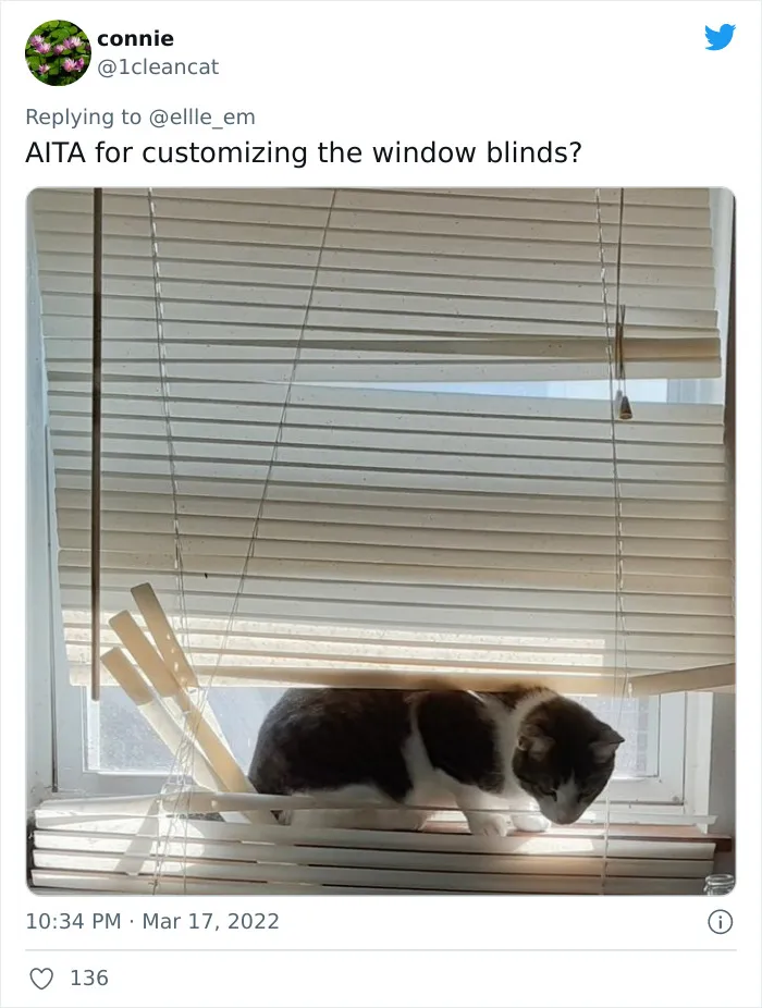 35 AITA Posts That Are Funny Because They Are Written From A Cat’s Perspective, Shared In This Twitter Thread