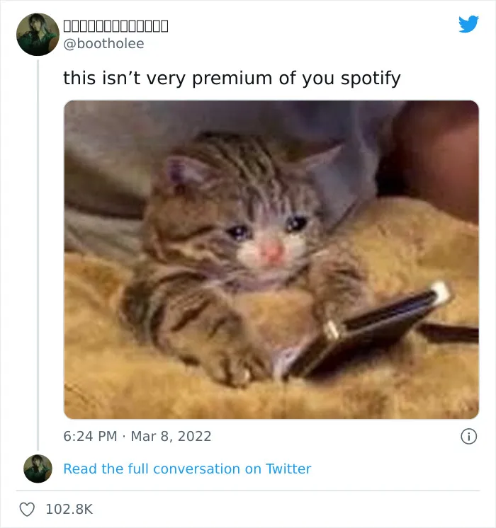 Spotify Going Down Prompted People To Post These 30 Memes And Reactions