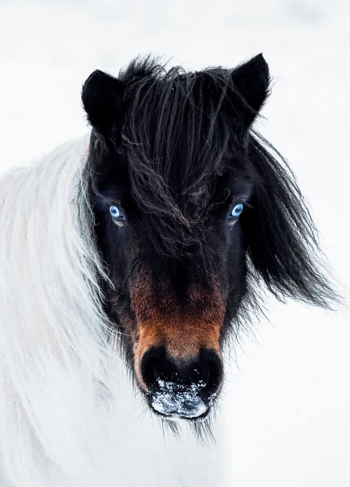 After Having Visited Iceland For 9 Days, I Decided It Was Going To Be My New Home (28 Pics)