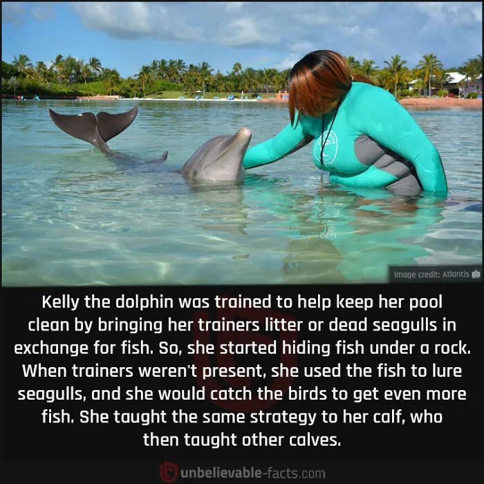 40 Hard-To-Believe Facts Shared By The “Unbelievable Facts” Facebook Page (New Pics)