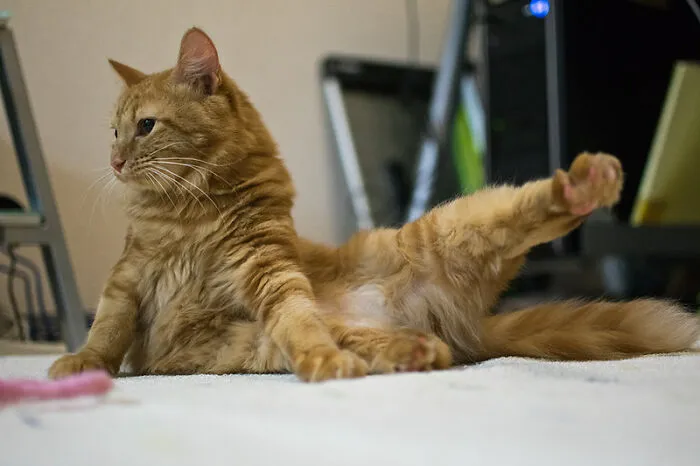 Do Some Strenuous Exercise During The Day