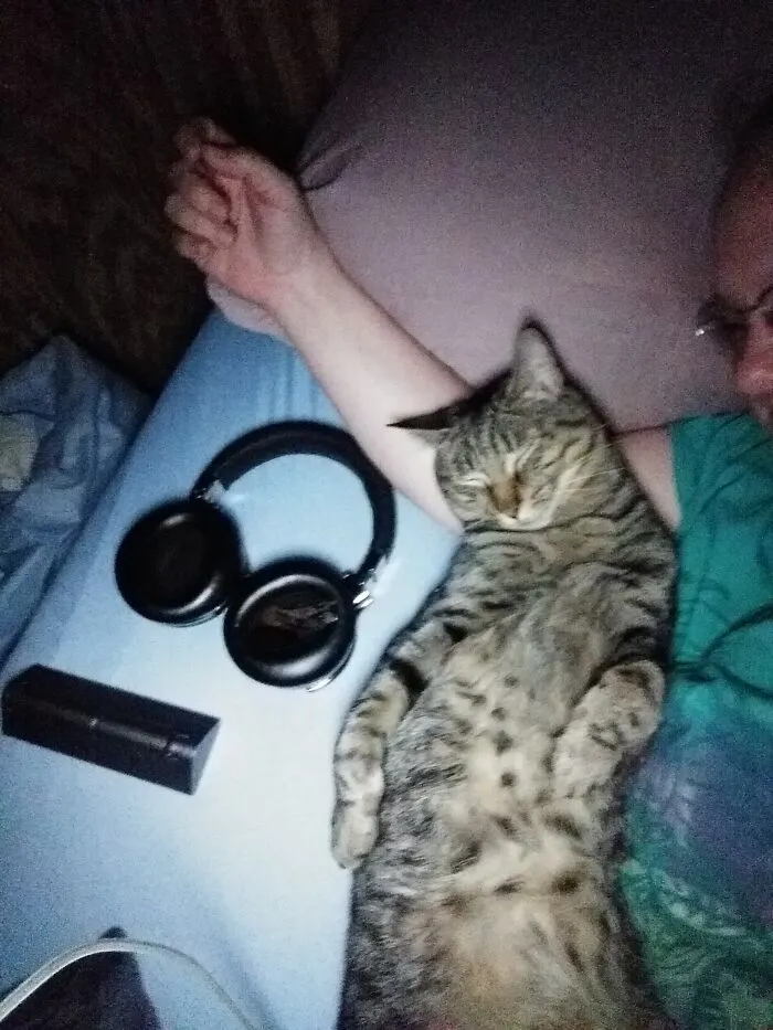 Just Chilling Like A Human
