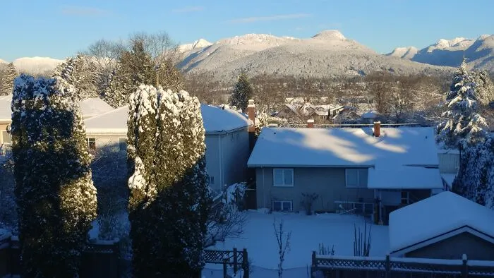 Views Like This While I Work