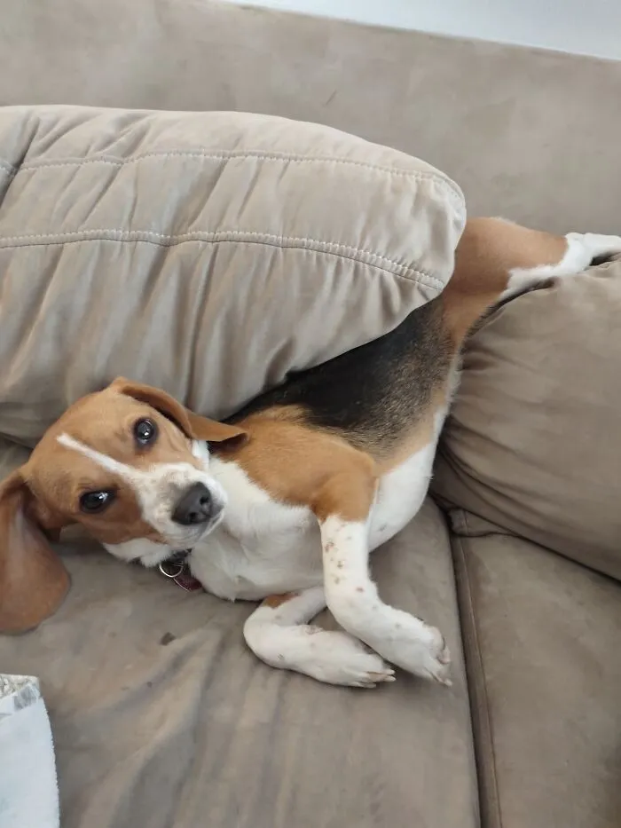 Woke Up Like This 