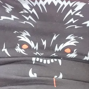 Sasquatch The Almighty