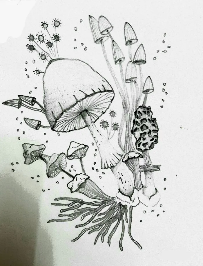 Feels Incomplete To Me- Need To Add Something; Just Don't Know What