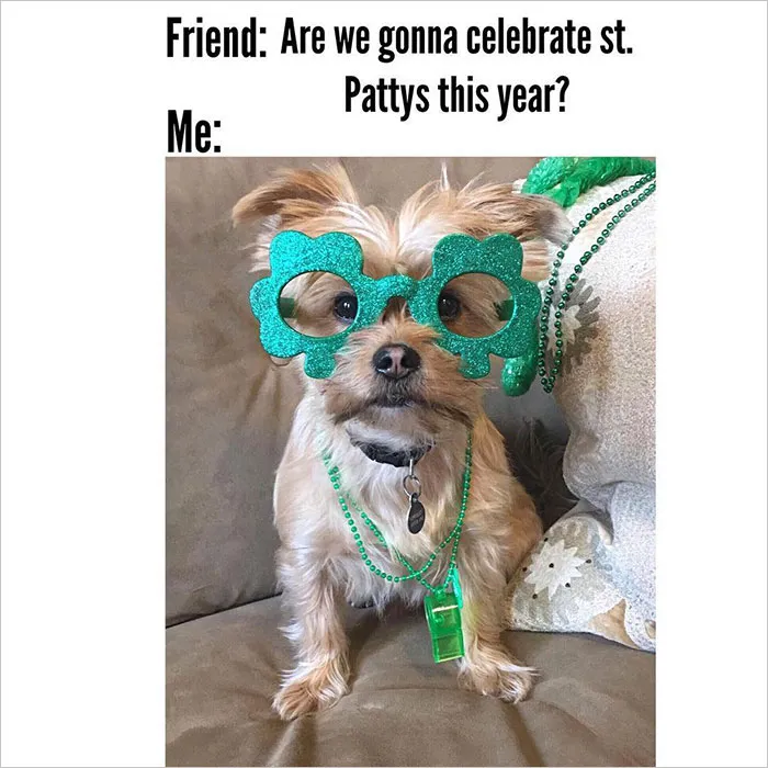 The World Is Celebrating St. Patrick’s Day With Memes And Jokes, So Here Are 30 Of The Most Spot-On Ones