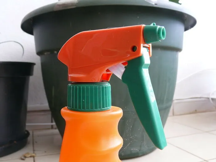When Your Insides Need Some Cleaning