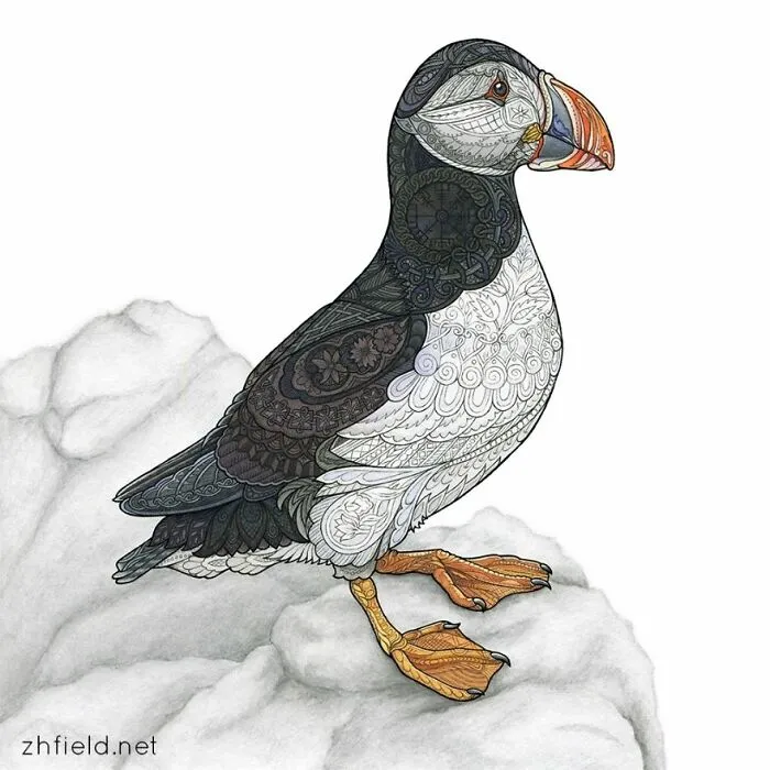Cute Puffin