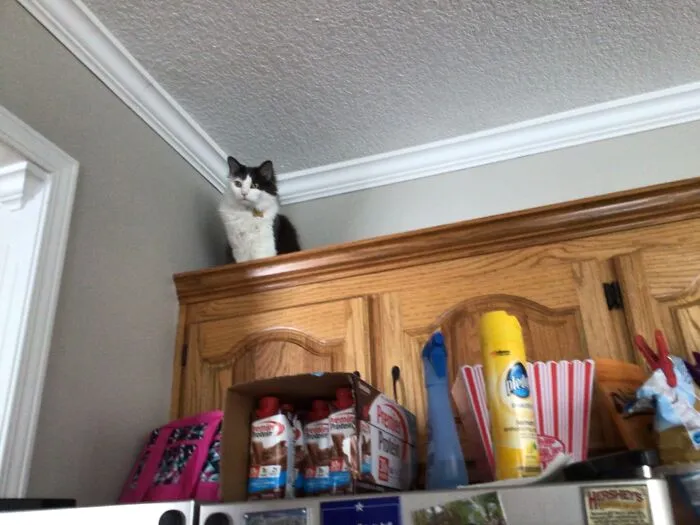 Scared Me