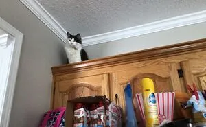 Hey Pandas, Post The Best Animal Pictures You've Taken (Closed)