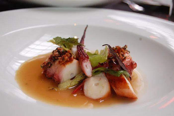 Octopus And Squid