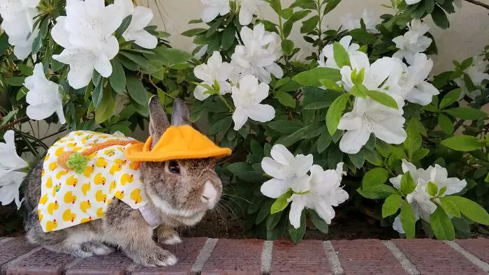 Finally…spring!