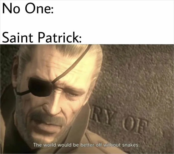The World Is Celebrating St. Patrick’s Day With Memes And Jokes, So Here Are 30 Of The Most Spot-On Ones