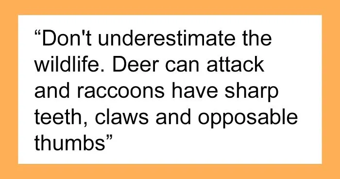 People Share 30 Things You Should Never Do In Canada
