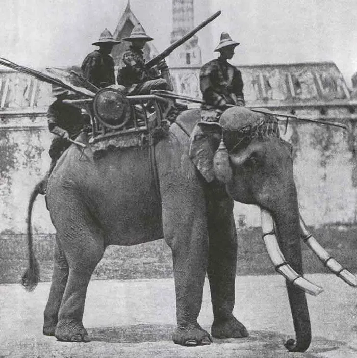 20 Inesperados actos de bondad que ocurrieron a lo largo de nuestra historia