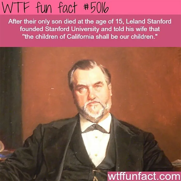 This Instagram Account Collects Mind-Boggling Facts About Our World And Here Are 50 Of The Wildest Ones